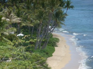 Kahala Ave