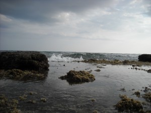 Diamond Head Beach