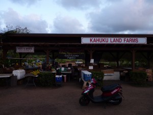 Moped in Kahuku