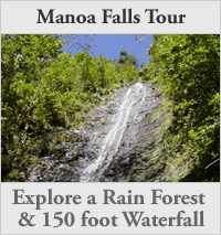 manoa_falls_tour manoa_falls_tour