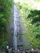manoa_falls manoa_falls