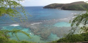 Hanauma Bay